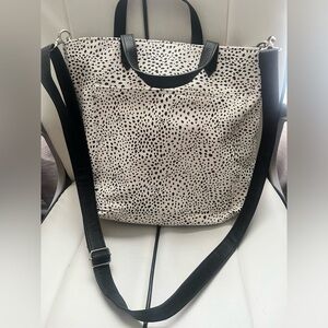 Thirty-One Dalmation Crossbdoy